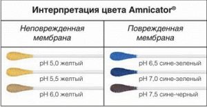 Интерпретация цвета Амникатор